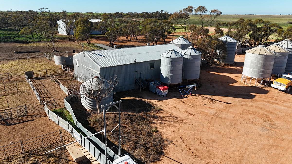 'Box Tank' 309 Arney Lane, Werrimull For Sale by Farmbuy.com - image 20