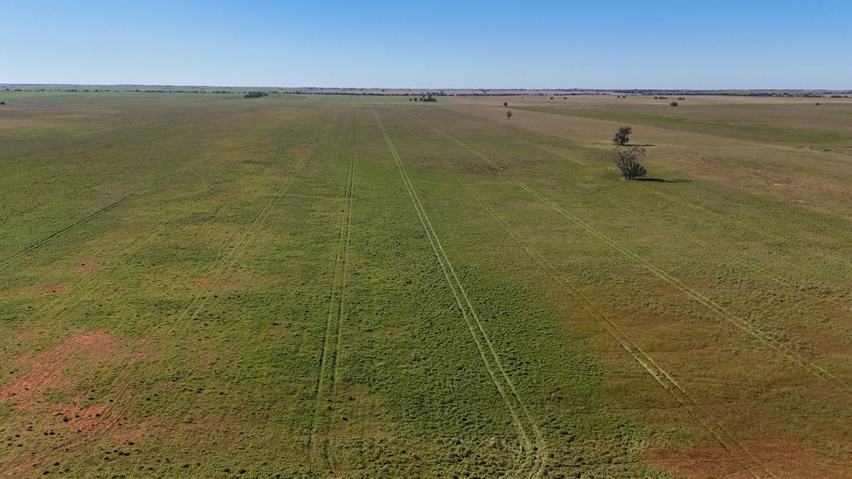 'Box Tank' 309 Arney Lane, Werrimull For Sale by Farmbuy.com - image 15