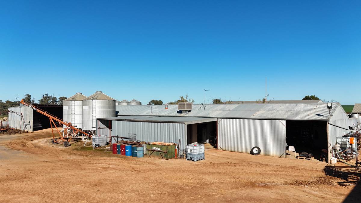 'Box Tank' 309 Arney Lane, Werrimull For Sale by Farmbuy.com - image 21