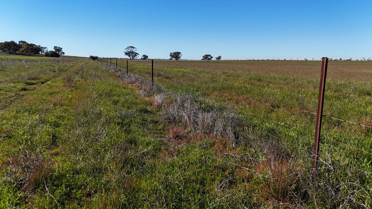 'Box Tank' 309 Arney Lane, Werrimull For Sale by Farmbuy.com - image 26