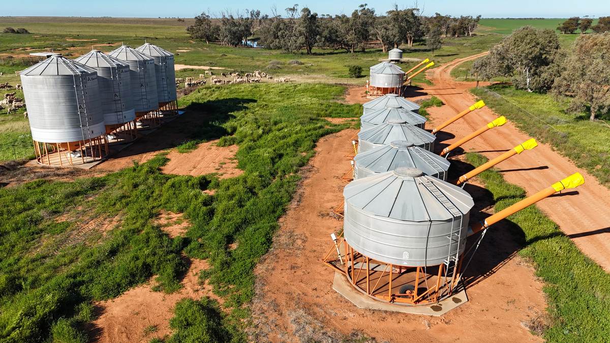 'Box Tank' 309 Arney Lane, Werrimull For Sale by Farmbuy.com - image 12