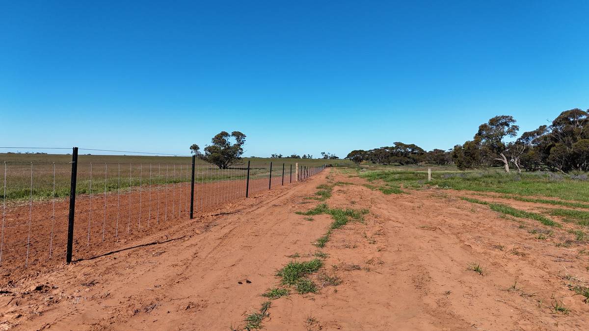 'Box Tank' 309 Arney Lane, Werrimull For Sale by Farmbuy.com - image 25