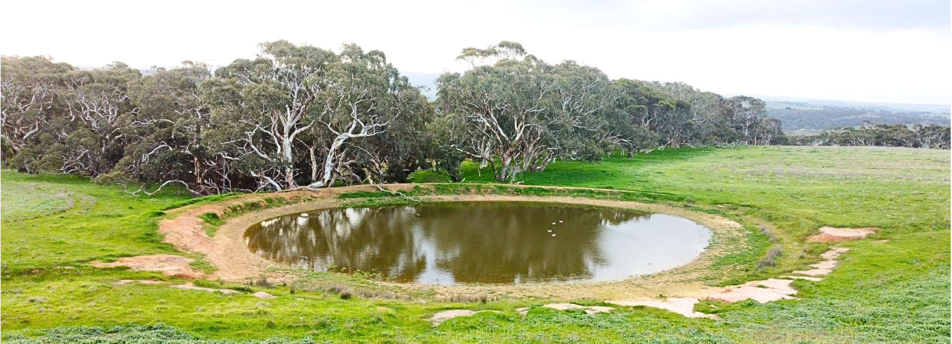 Back Valley For Sale by Farmbuy.com - image 17