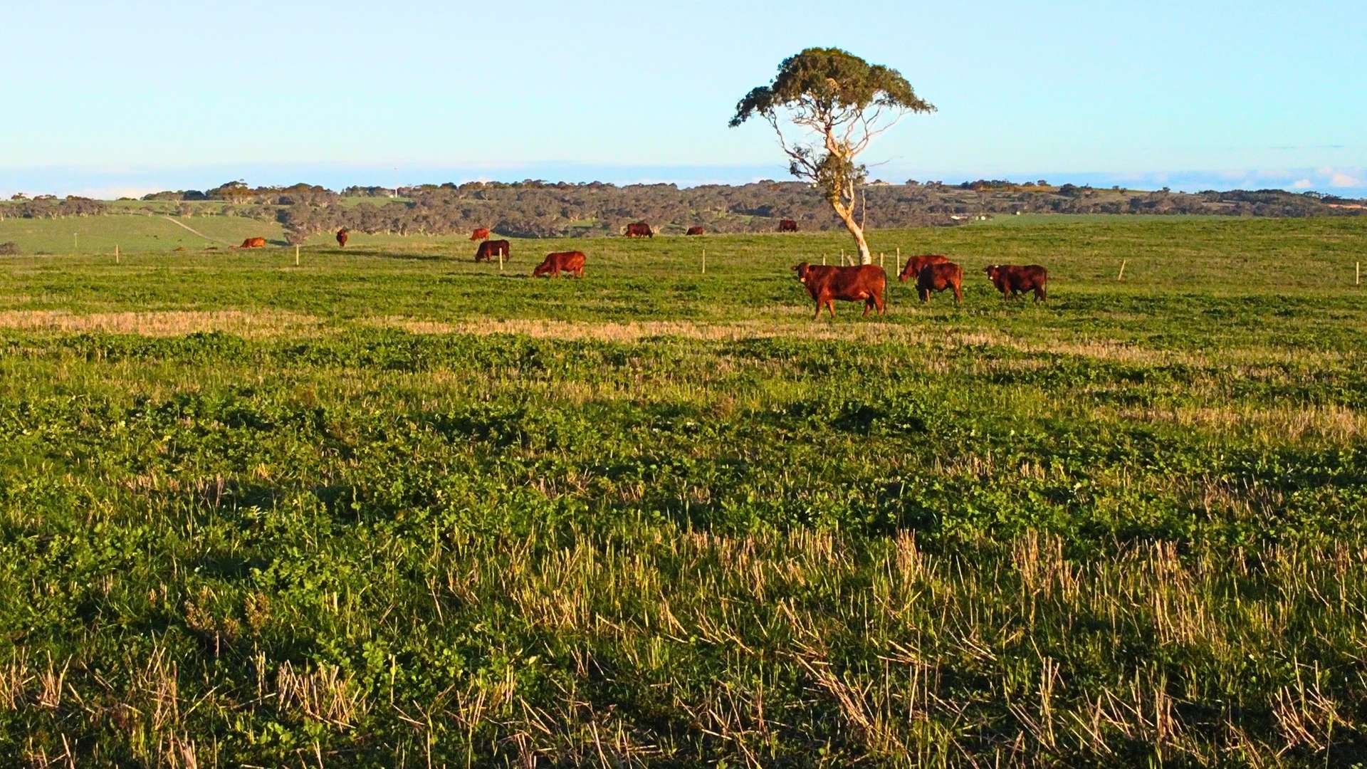 Back Valley For Sale by Farmbuy.com - image 14
