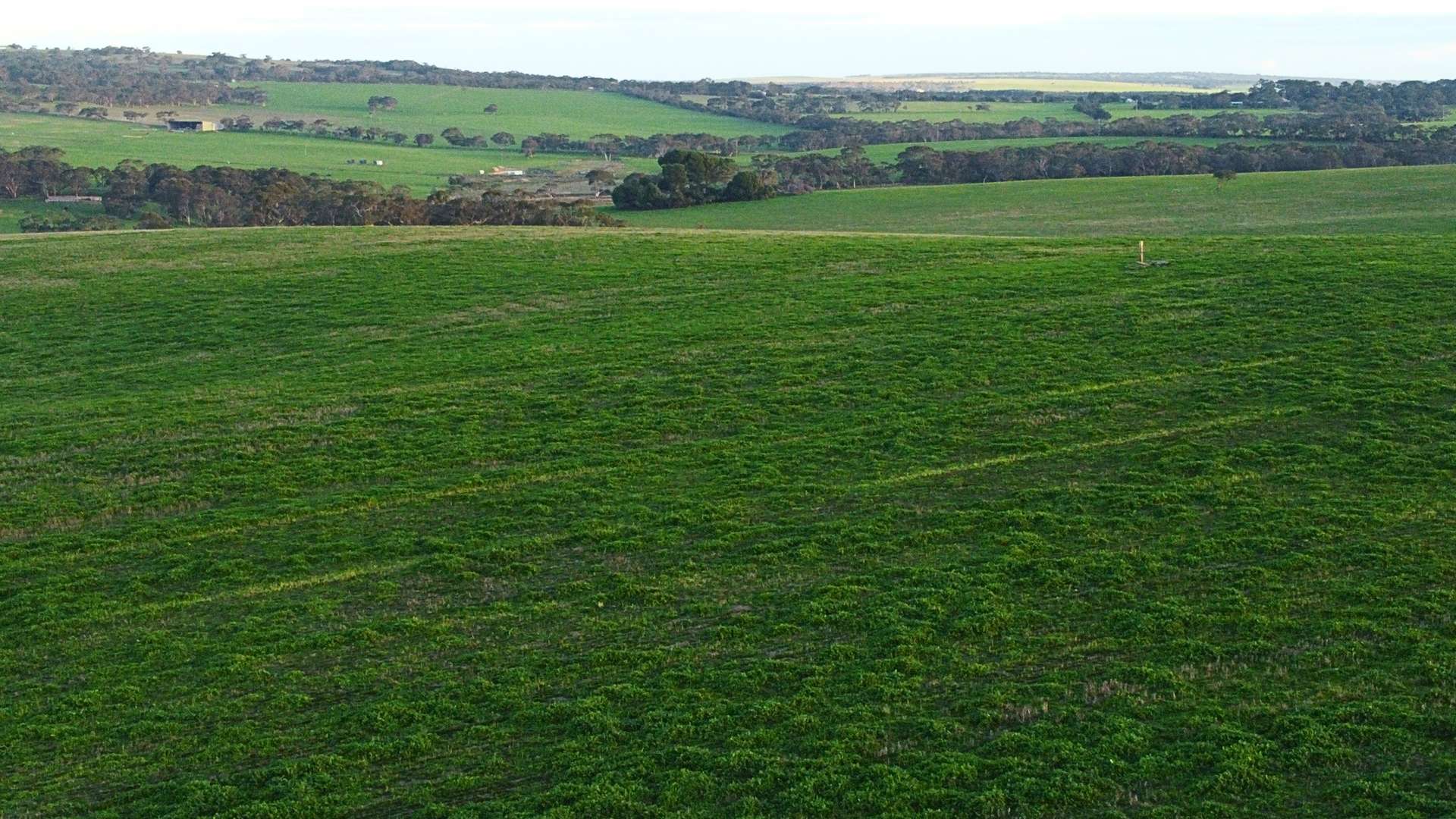 Back Valley For Sale by Farmbuy.com - image 26
