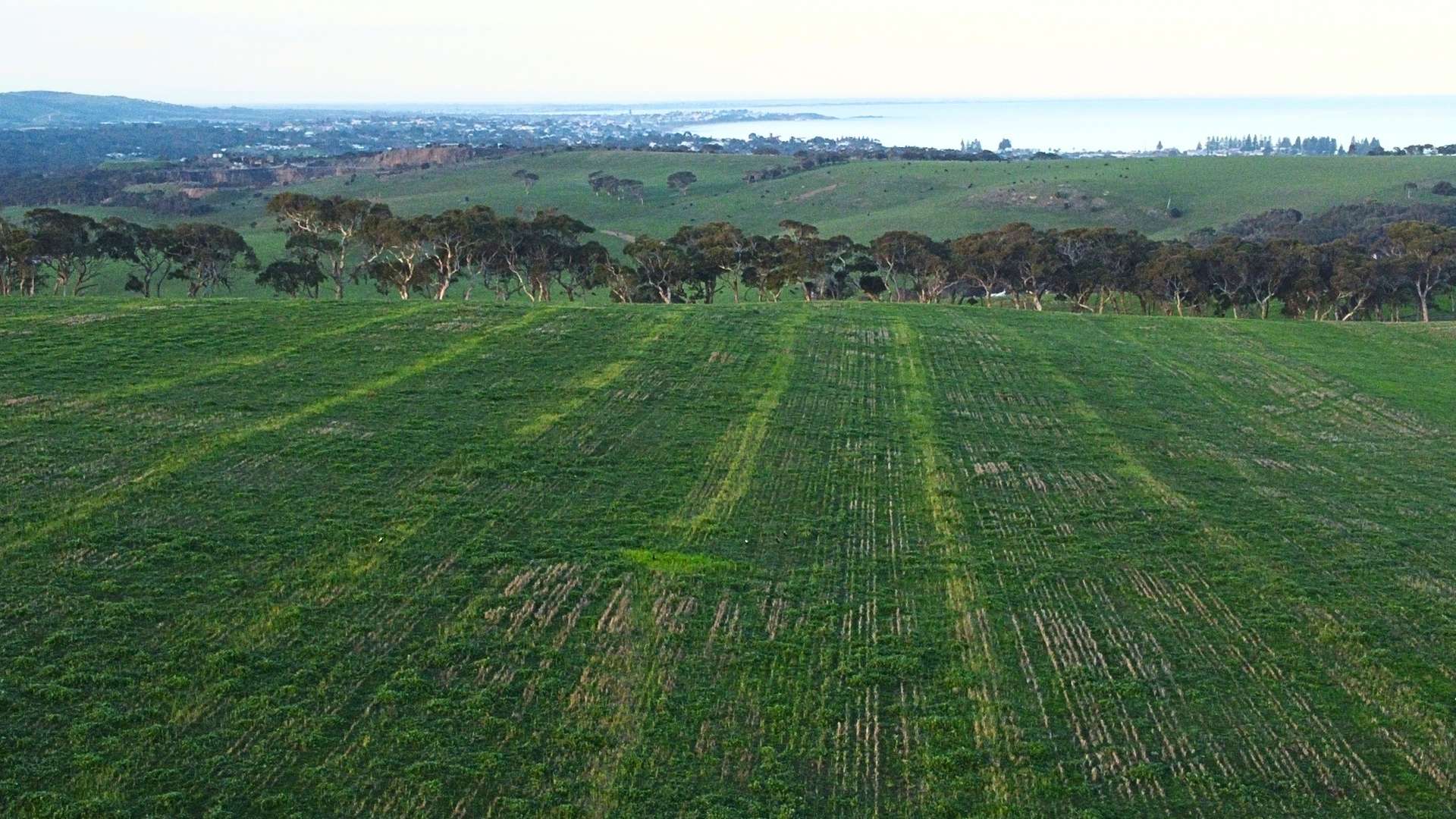 Back Valley For Sale by Farmbuy.com - image 28