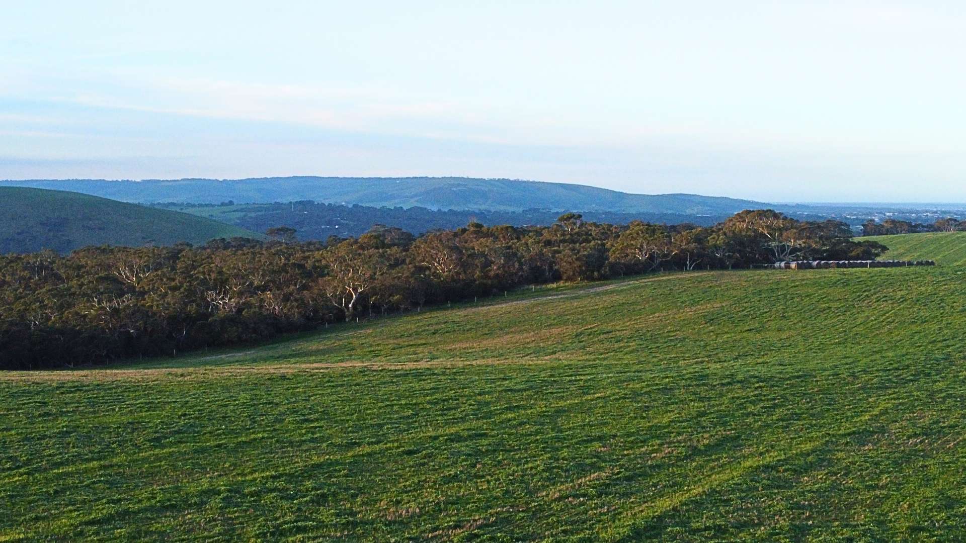 Back Valley For Sale by Farmbuy.com - image 30