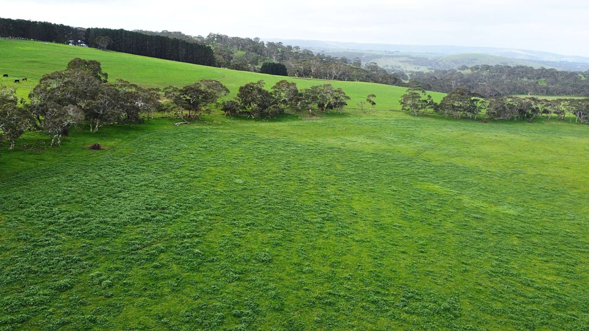 Back Valley For Sale by Farmbuy.com - image 32