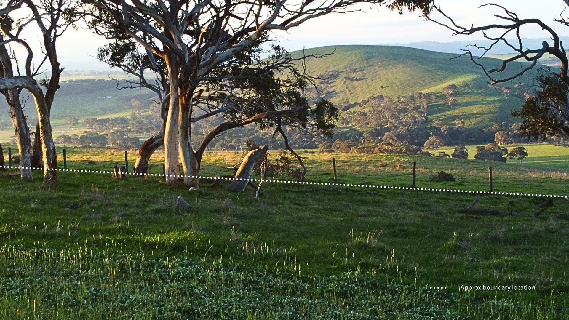 Back Valley For Sale by Farmbuy.com - image 25