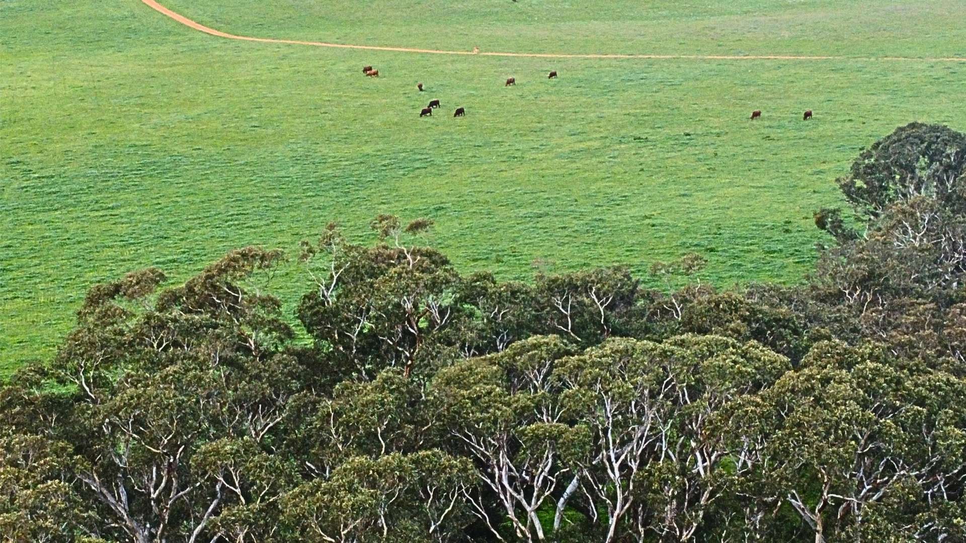 Back Valley For Sale by Farmbuy.com - image 15
