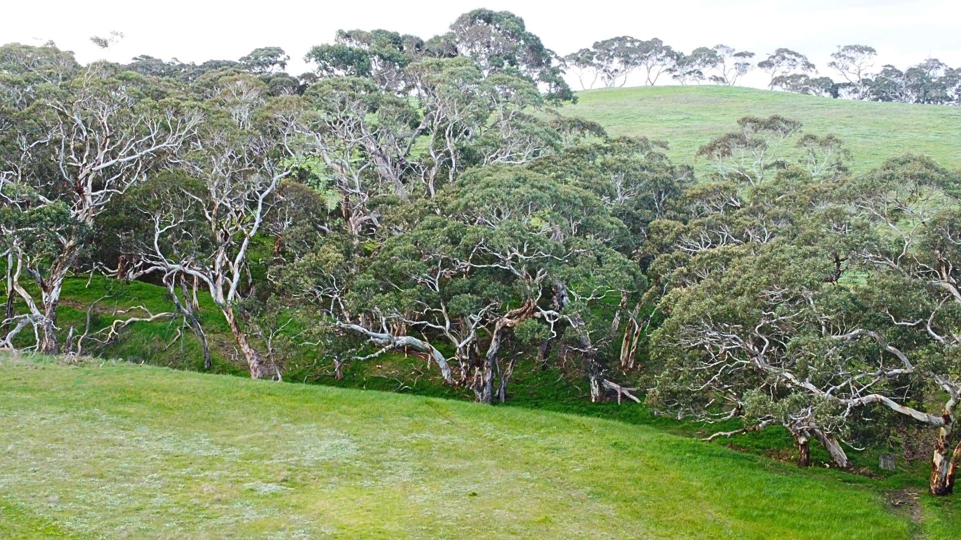 Back Valley For Sale by Farmbuy.com - image 24