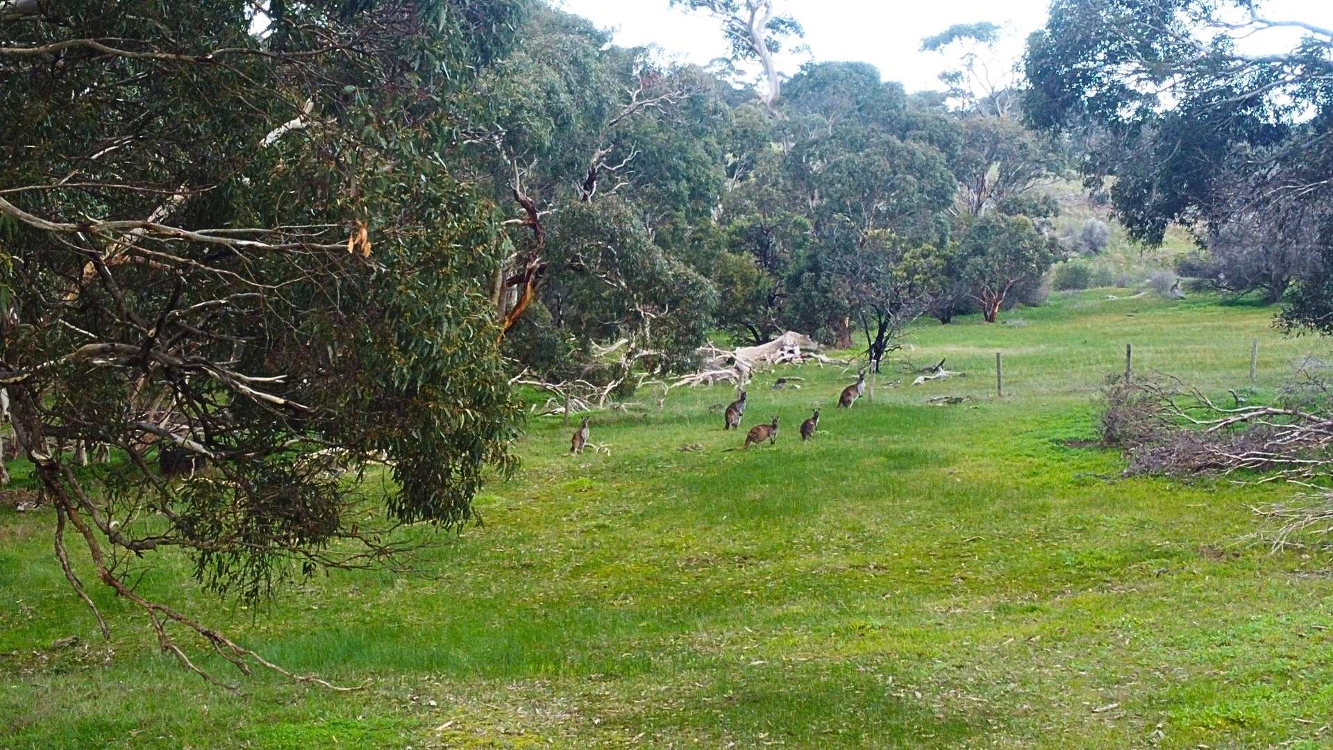 Back Valley For Sale by Farmbuy.com - image 23