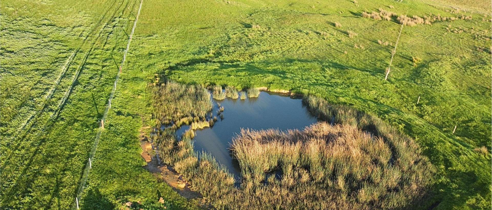 Back Valley For Sale by Farmbuy.com - image 19