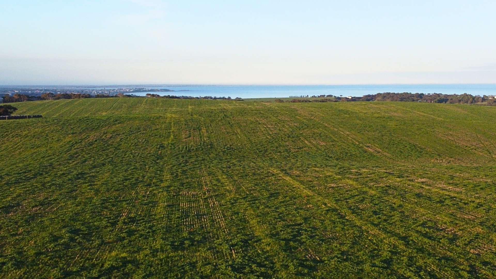 Back Valley For Sale by Farmbuy.com - image 8