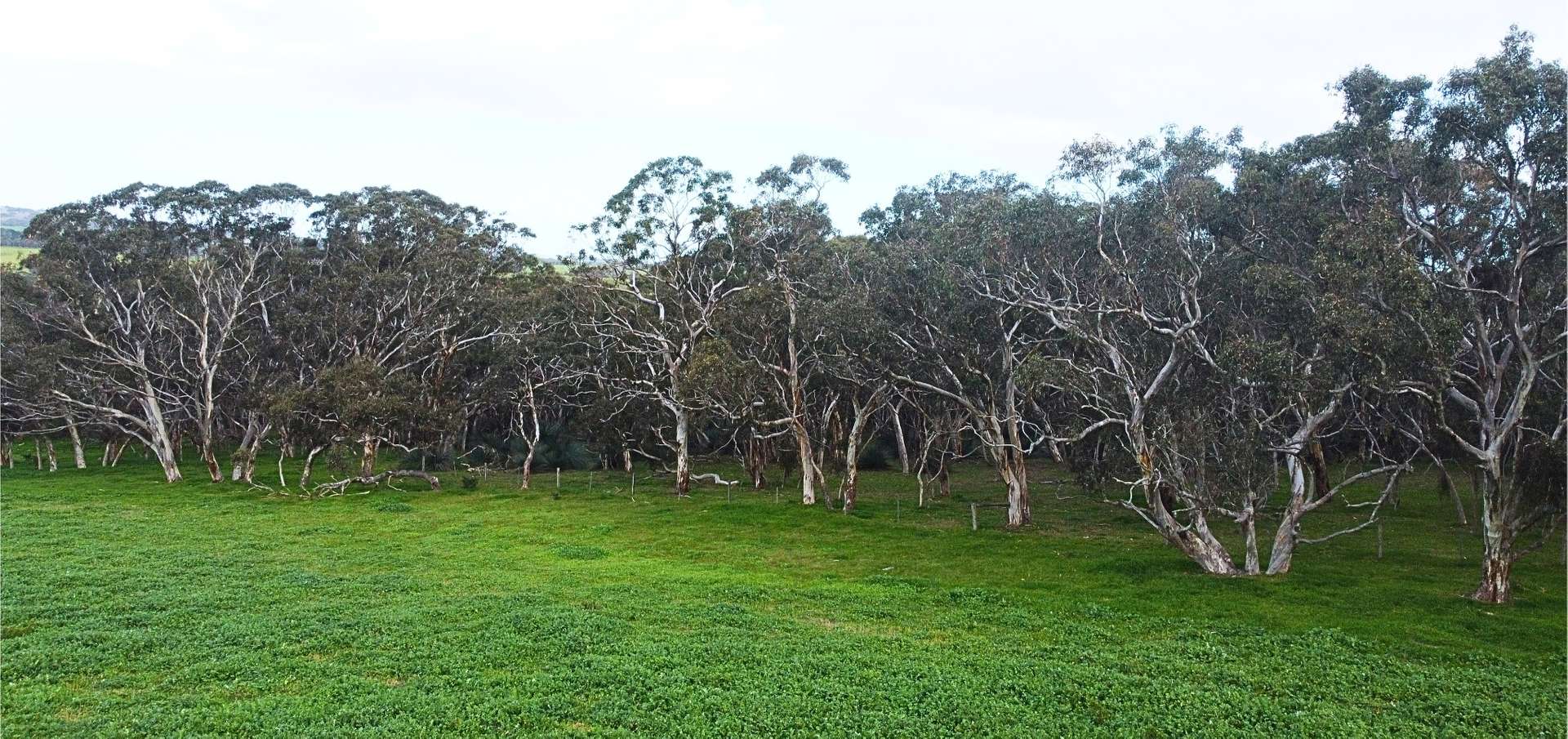 Back Valley For Sale by Farmbuy.com - image 31