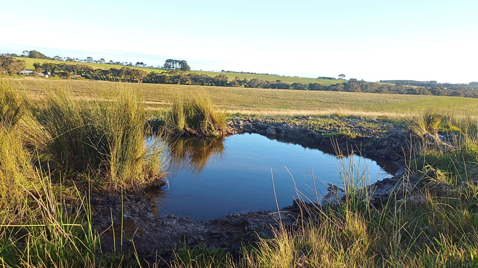 Back Valley For Sale by Farmbuy.com - image 21
