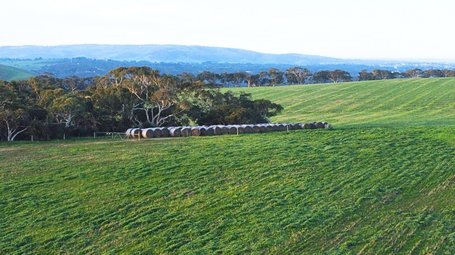 Back Valley For Sale by Farmbuy.com - image 12