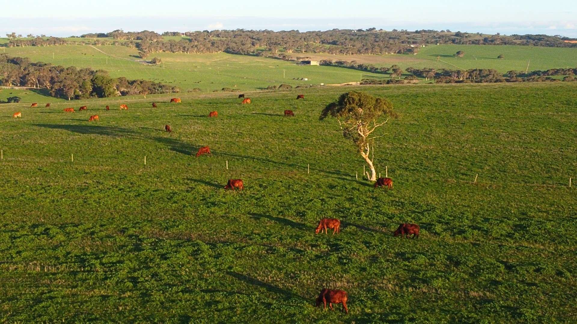 Back Valley For Sale by Farmbuy.com - image 13