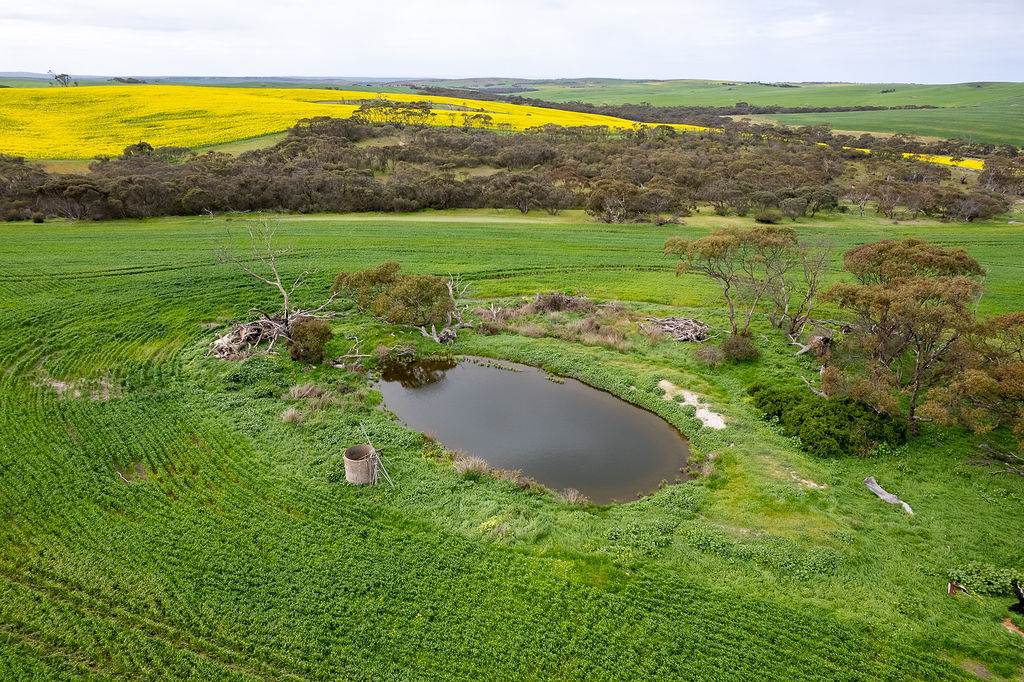 404 Marshalls Road, Ungarra For Sale by Farmbuy.com - image 7
