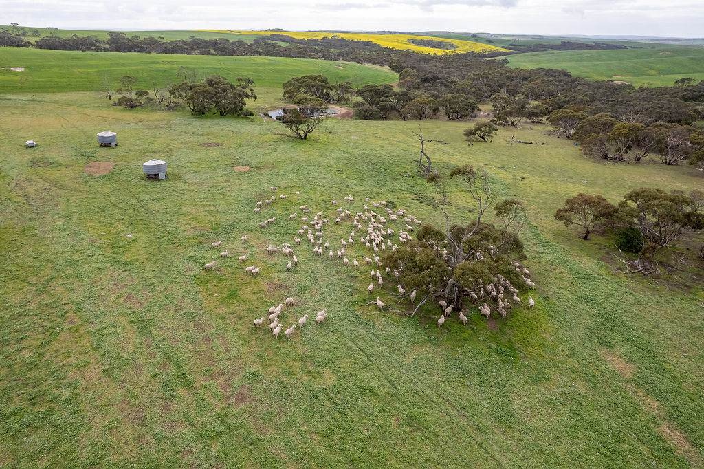 404 Marshalls Road, Ungarra For Sale by Farmbuy.com - image 12
