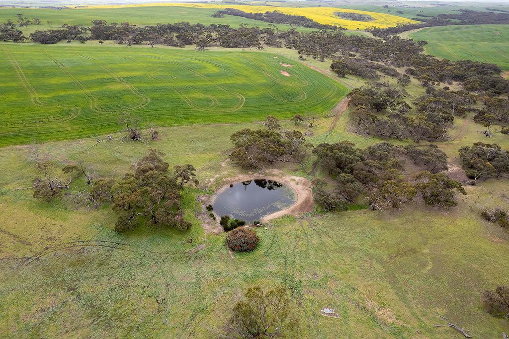 404 Marshalls Road, Ungarra For Sale by Farmbuy.com - image 16
