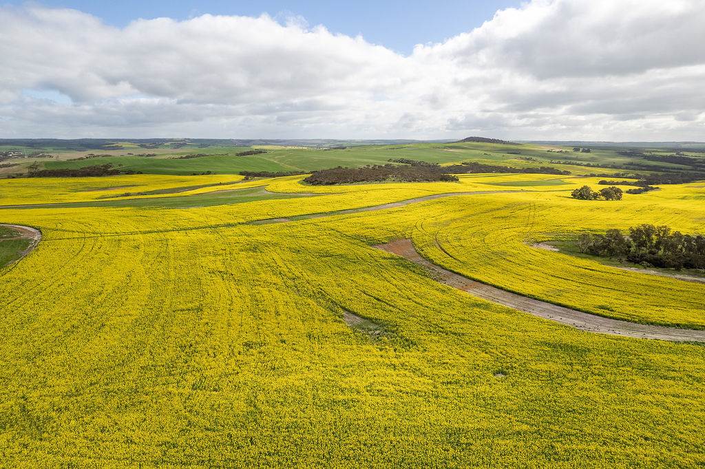 404 Marshalls Road, Ungarra For Sale by Farmbuy.com - image 14