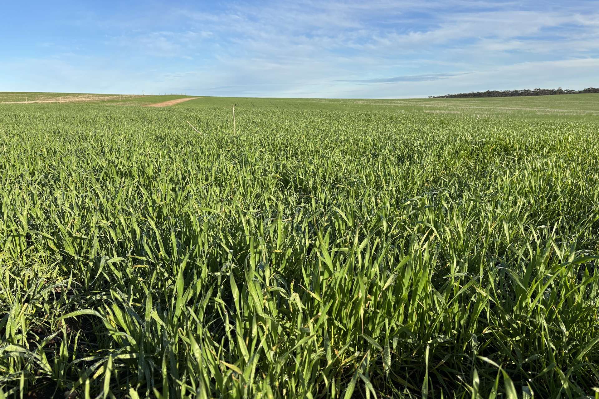 404 Marshalls Road, Ungarra For Sale by Farmbuy.com - image 3