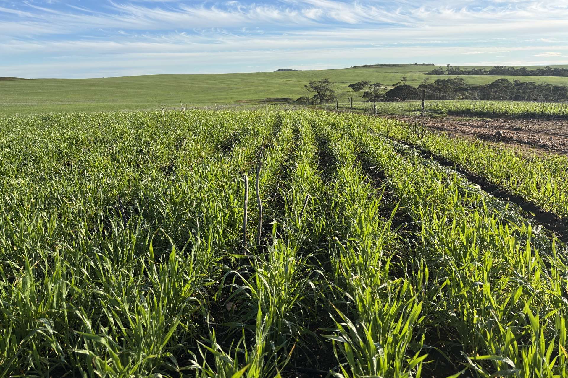 404 Marshalls Road, Ungarra For Sale by Farmbuy.com - image 2