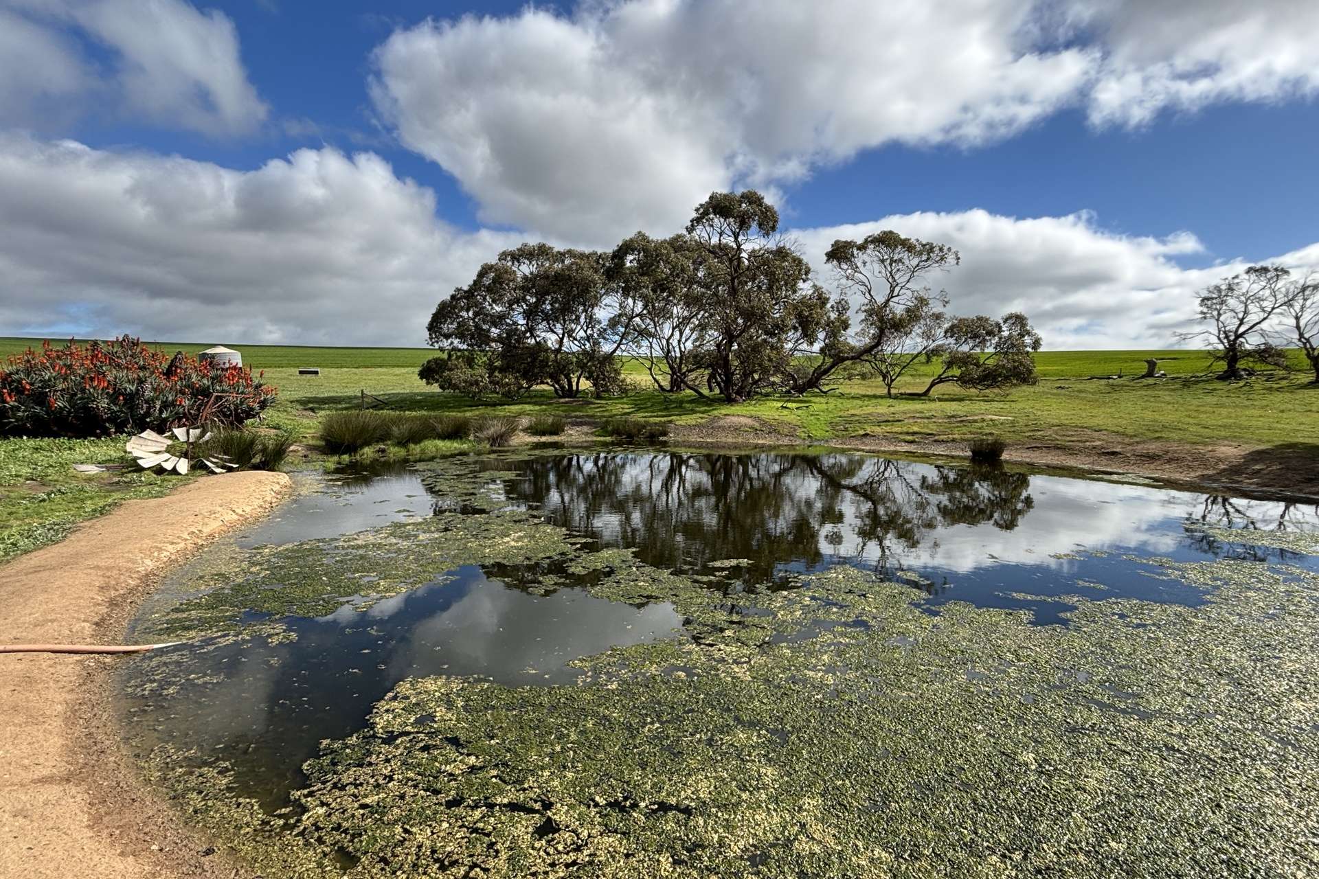 404 Marshalls Road, Ungarra For Sale by Farmbuy.com - image 15