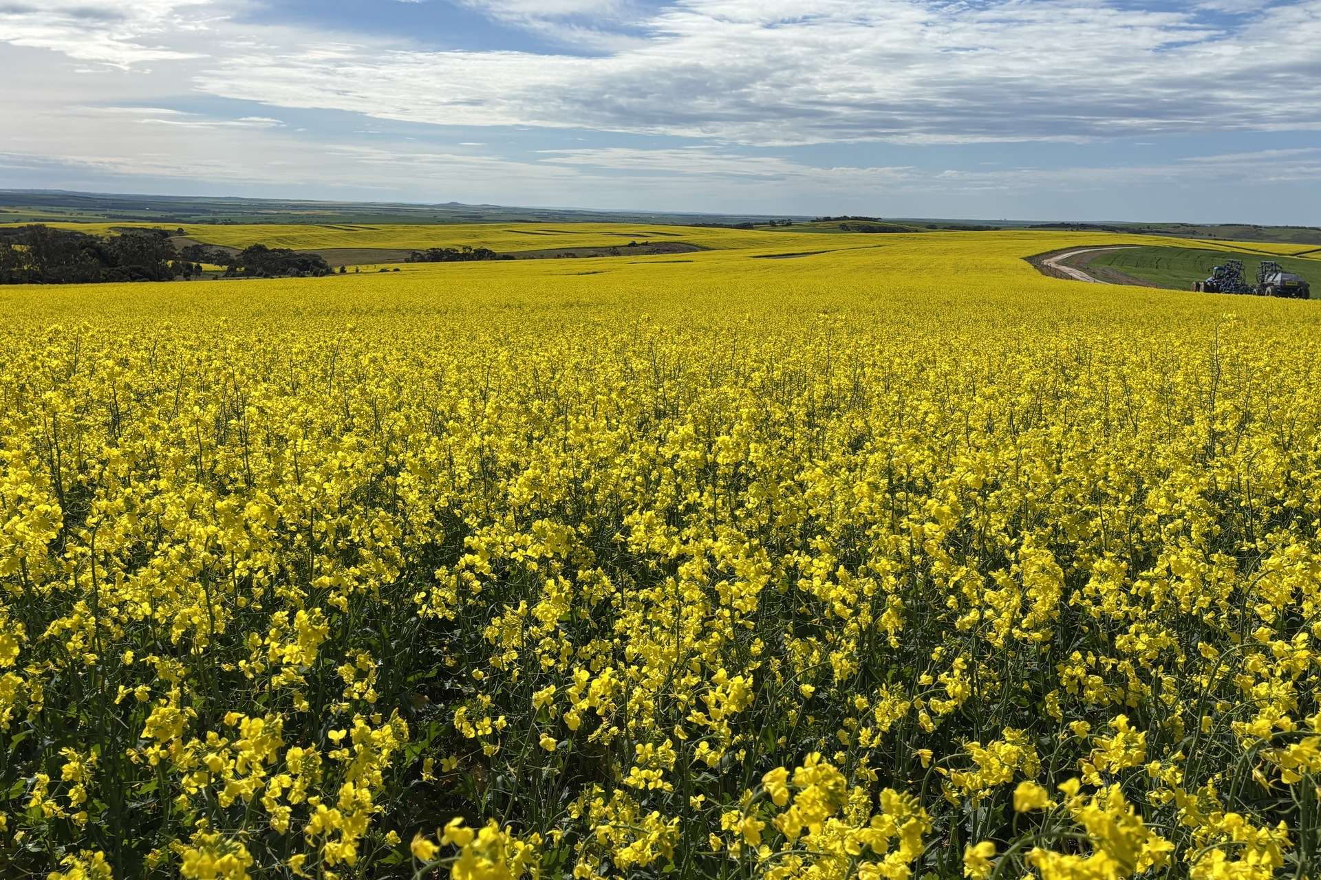 404 Marshalls Road, Ungarra For Sale by Farmbuy.com - image 17
