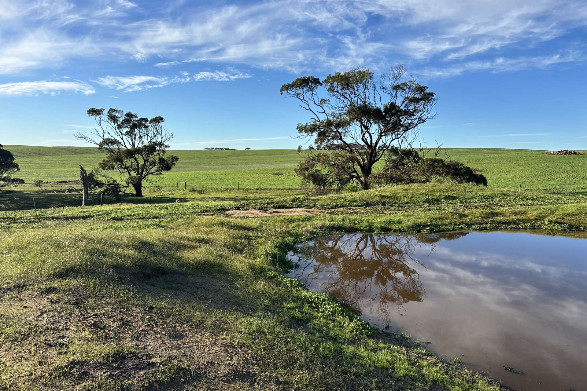 404 Marshalls Road, Ungarra For Sale by Farmbuy.com - image 21