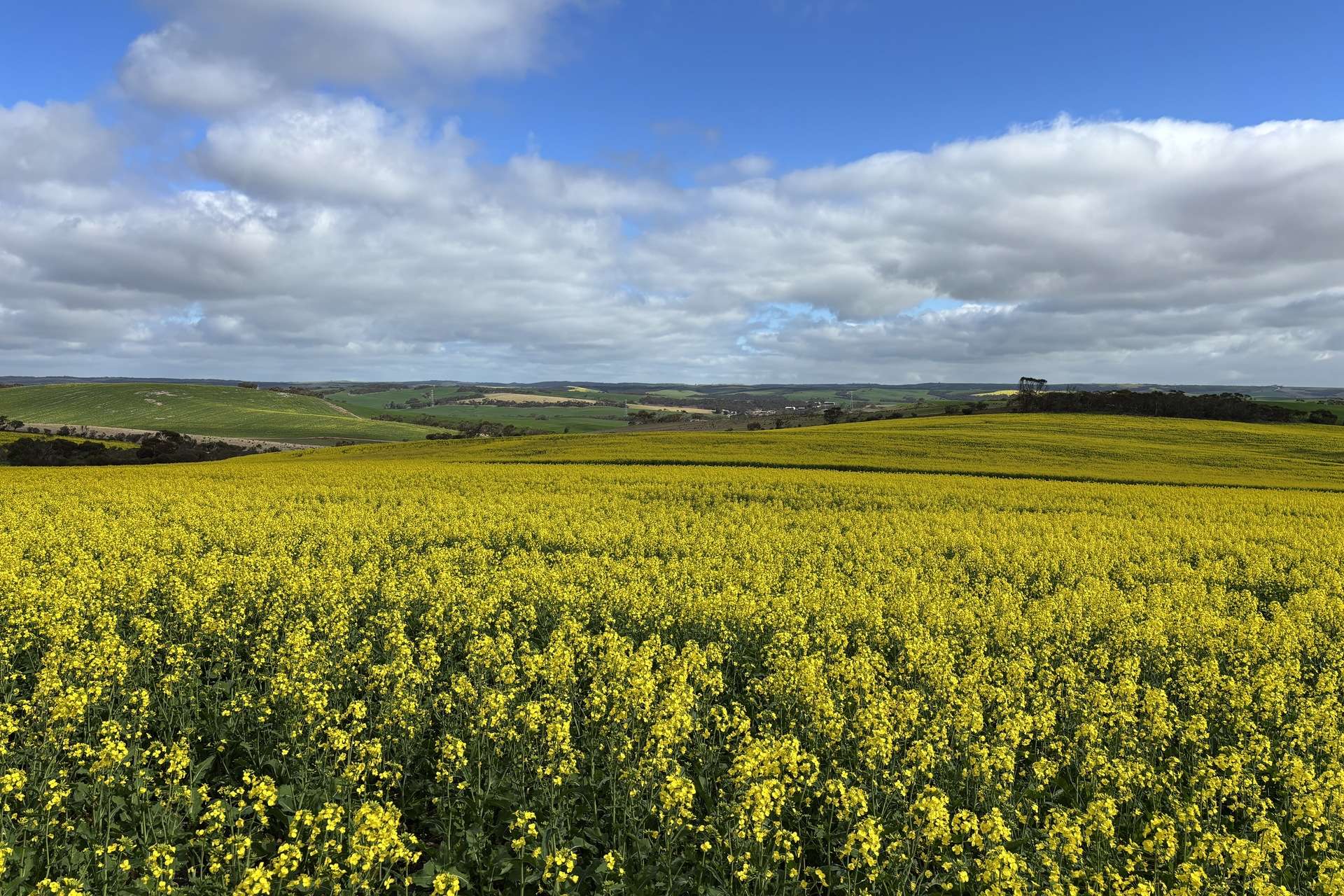 404 Marshalls Road, Ungarra For Sale by Farmbuy.com - image 22