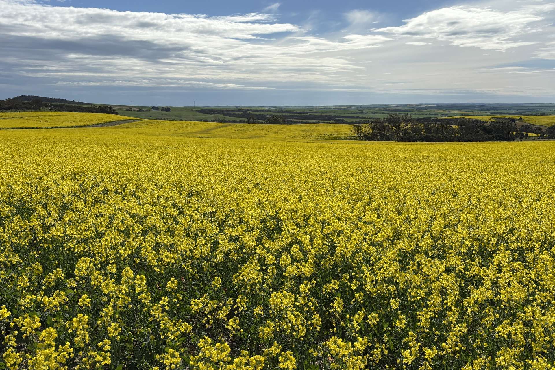 404 Marshalls Road, Ungarra For Sale by Farmbuy.com - image 15