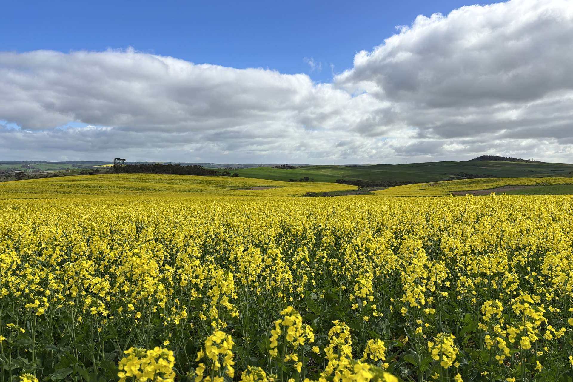 404 Marshalls Road, Ungarra For Sale by Farmbuy.com - image 1