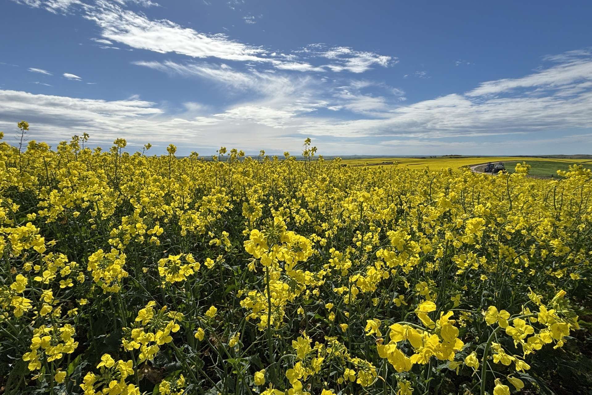 404 Marshalls Road, Ungarra For Sale by Farmbuy.com - image 3