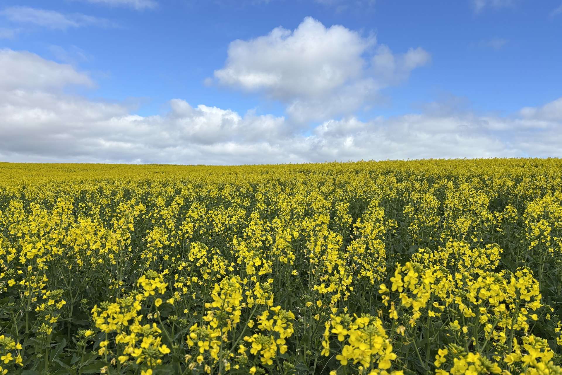 404 Marshalls Road, Ungarra For Sale by Farmbuy.com - image 20