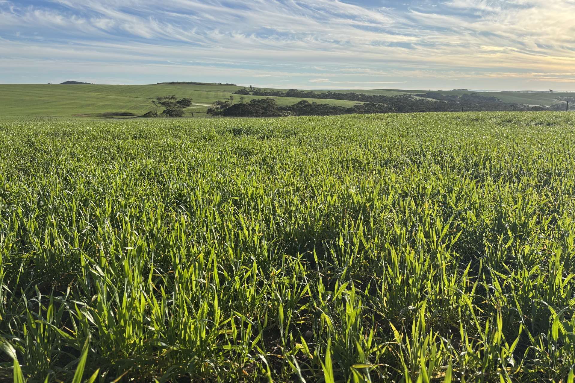 404 Marshalls Road, Ungarra For Sale by Farmbuy.com - image 19