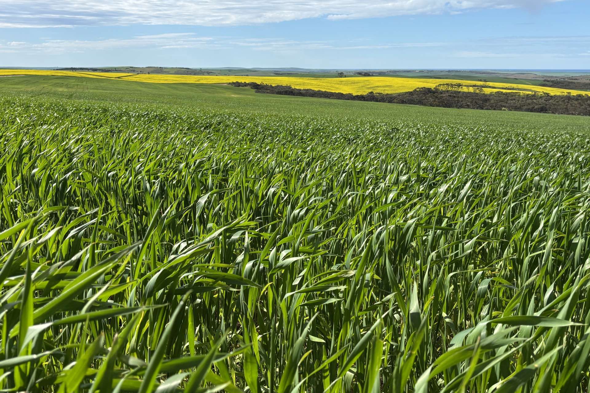 404 Marshalls Road, Ungarra For Sale by Farmbuy.com - image 11