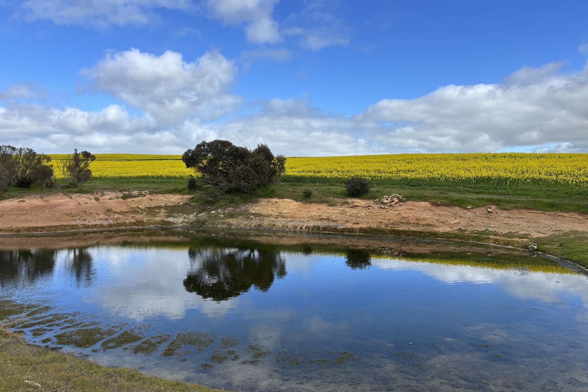 404 Marshalls Road, Ungarra For Sale by Farmbuy.com - image 5