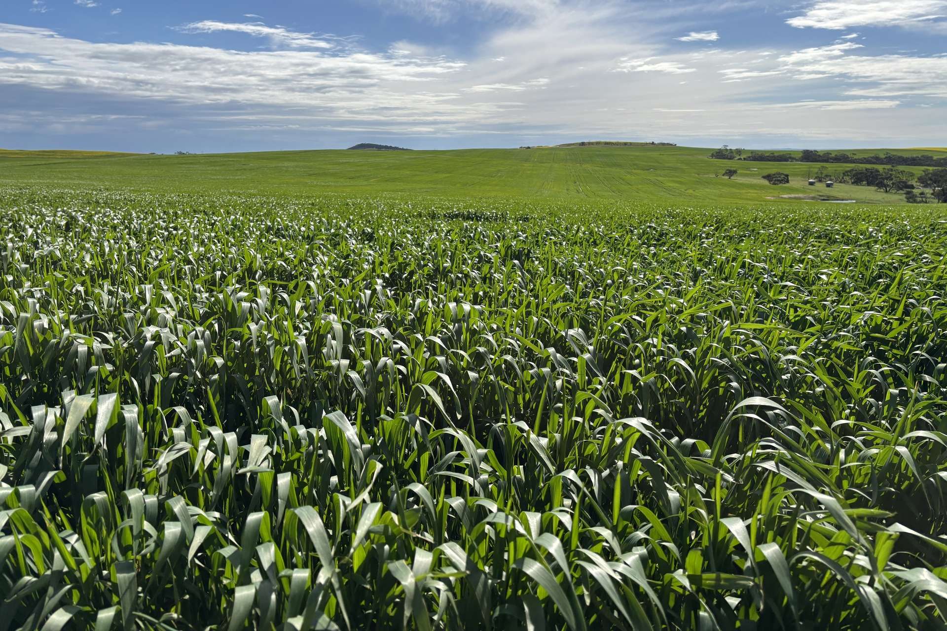 404 Marshalls Road, Ungarra For Sale by Farmbuy.com - image 20