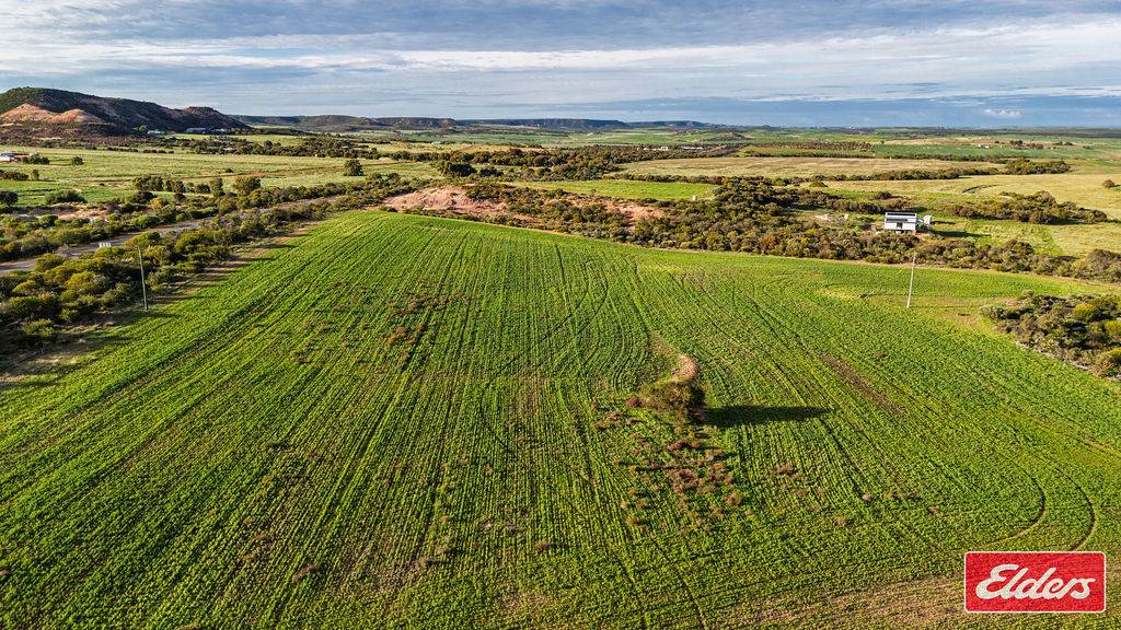 Lot 1 Starling Road, Bowes For Sale by Farmbuy.com - image 7