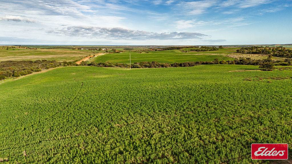Lot 1 Starling Road, Bowes For Sale by Farmbuy.com - image 9