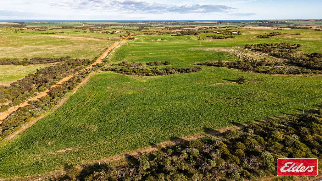 Lot 1 Starling Road, Bowes For Sale by Farmbuy.com - image 2