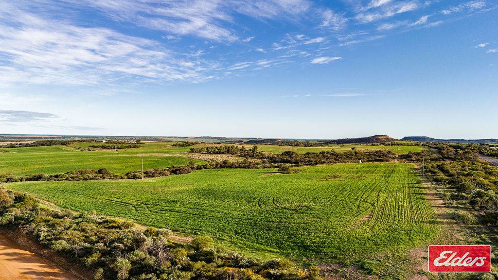 Lot 1 Starling Road, Bowes For Sale by Farmbuy.com - image 11
