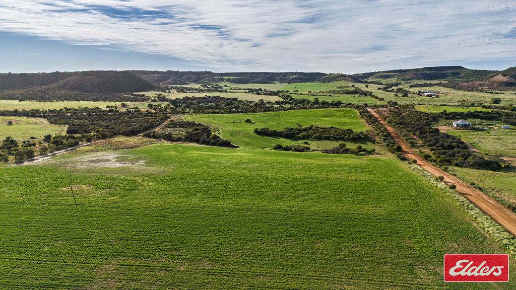Lot 1 Starling Road, Bowes For Sale by Farmbuy.com - image 3
