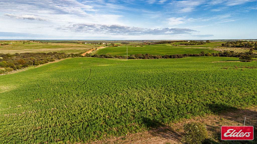 Lot 1 Starling Road, Bowes For Sale by Farmbuy.com - image 4