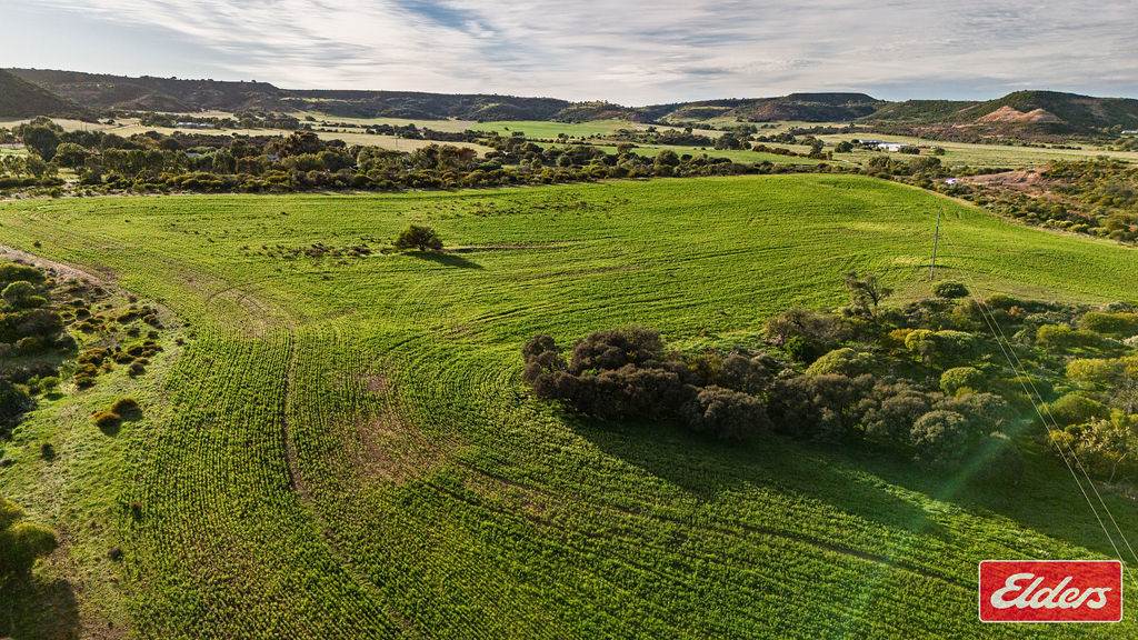 Lot 1 Starling Road, Bowes For Sale by Farmbuy.com - image 6