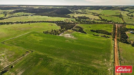 Farm For Sale - WA - Bowes - 6535 - Rural Acreage with Coastal Convenience 