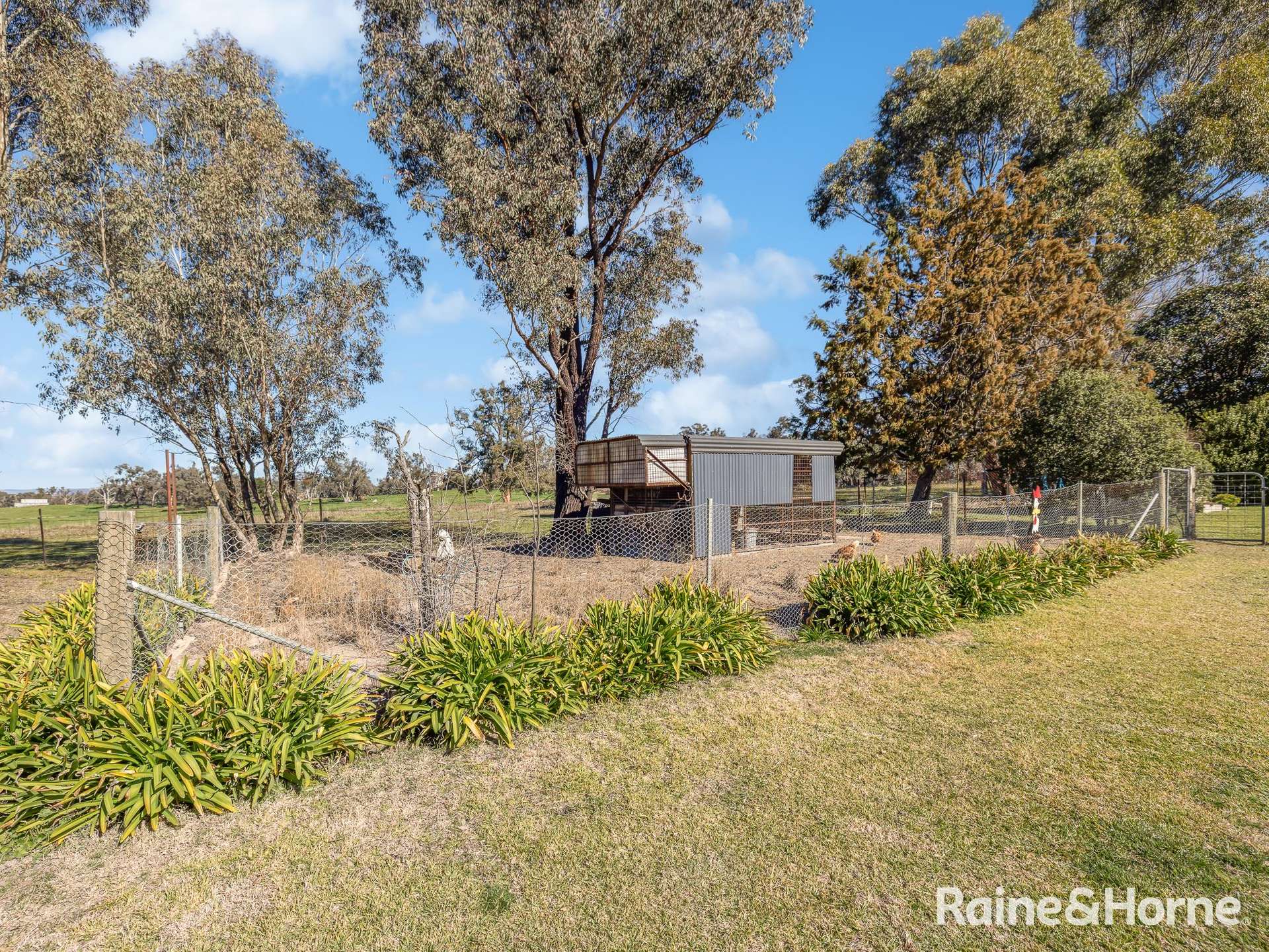 656 Duramana Road, Duramana Auction by Farmbuy.com - image 20
