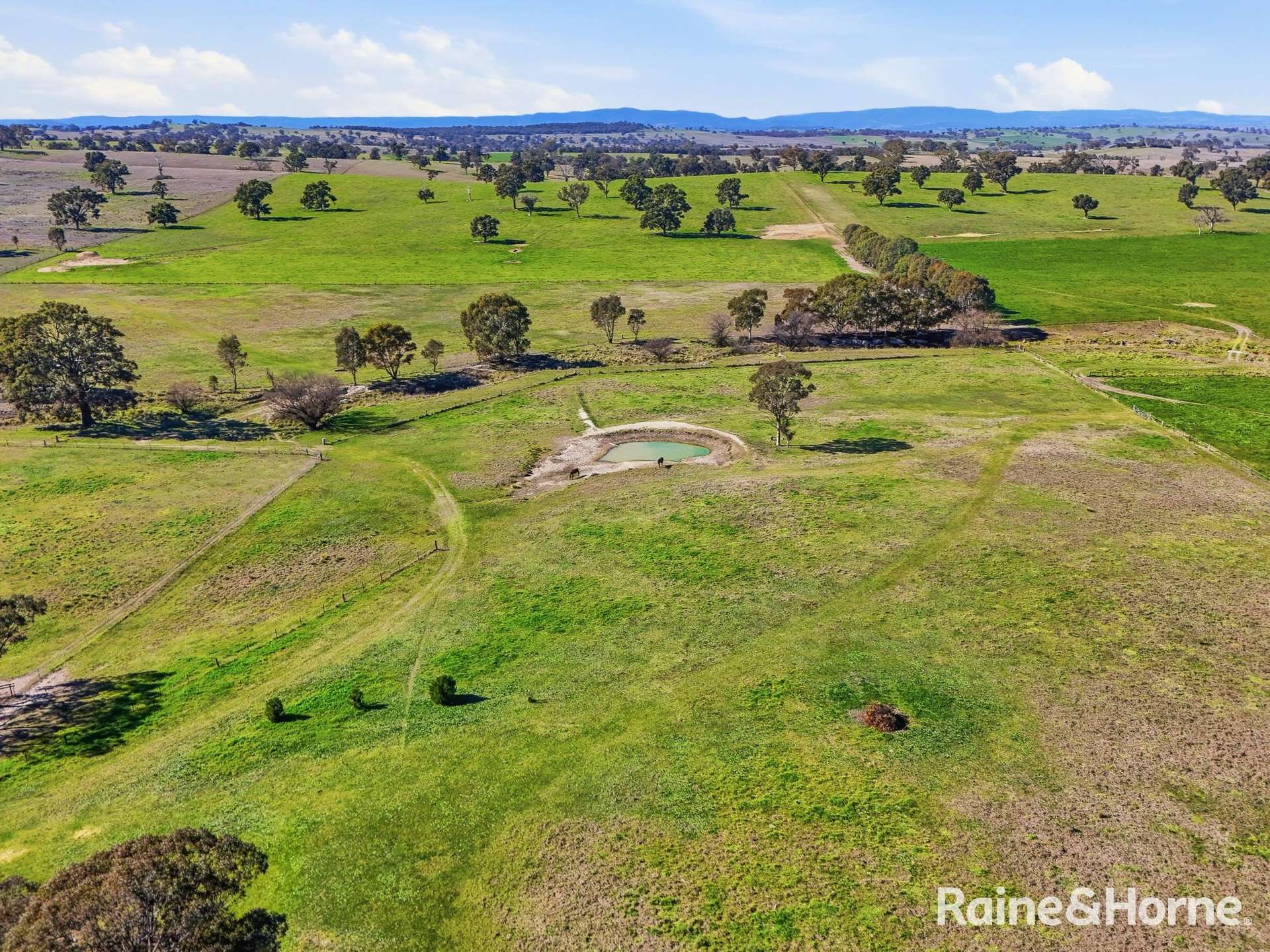 656 Duramana Road, Duramana Auction by Farmbuy.com - image 23